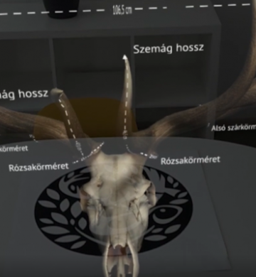 AR Trófea vizualizáció Hololensen
