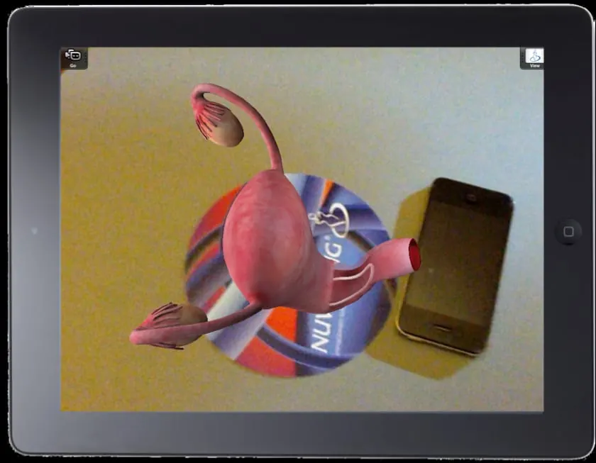 The 3D model of the female internal reproductive organs on the iPad screen, above the real table