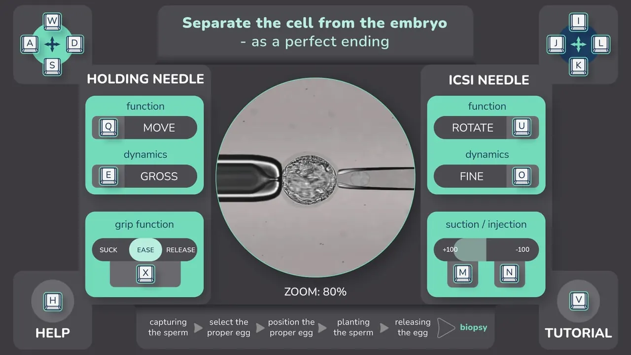 The procedure screen with the microscope view and two needles