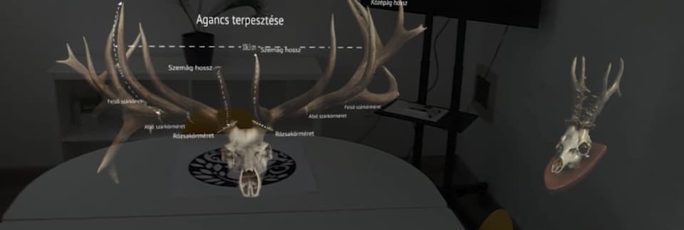 Project photo: AR Trófea vizualizáció Hololensen